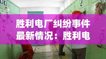 勝利電廠糾紛事件最新情況:勝利電廠全稱