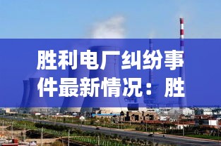 勝利電廠糾紛事件最新情況:勝利電廠全稱