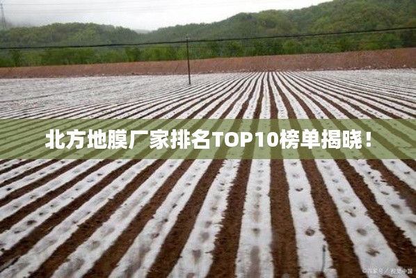 北方地膜廠家排名TOP10榜單揭曉!