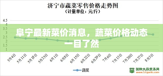 阜寧最新菜價消息，蔬菜價格動態一目了然