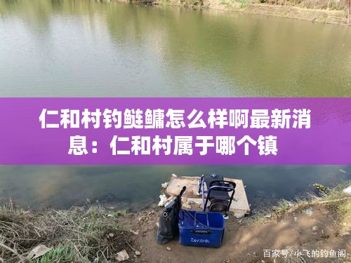 仁和村釣鰱鳙怎么樣啊最新消息:仁和村屬于哪個鎮