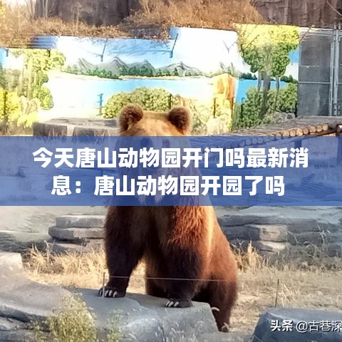 今天唐山動物園開門嗎最新消息:唐山動物園開園了嗎