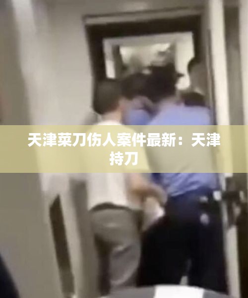 天津菜刀傷人案件最新:天津 持刀