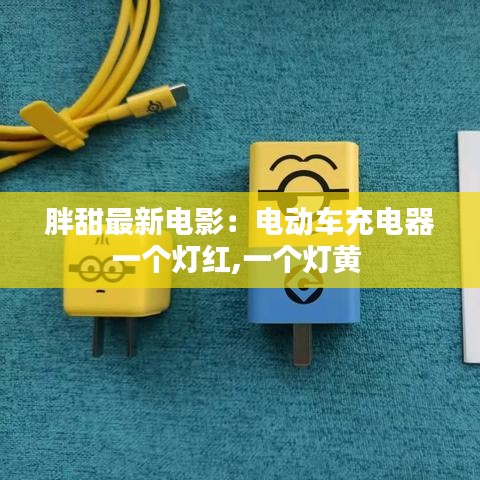 胖甜最新電影:電動車充電器一個燈紅,一個燈黃