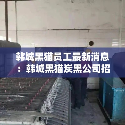 韓城黑貓員工最新消息:韓城黑貓炭黑公司招聘