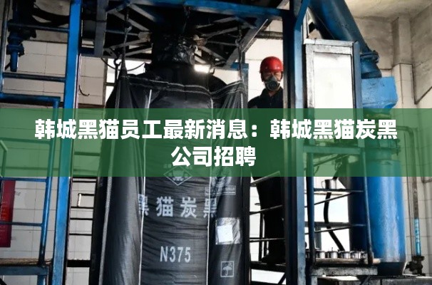 韓城黑貓員工最新消息:韓城黑貓炭黑公司招聘