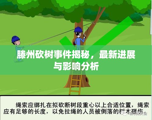 滕州砍樹事件揭秘,最新進(jìn)展與影響分析
