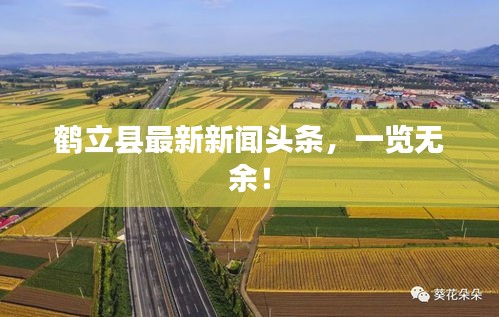 鶴立縣最新新聞?lì)^條，一覽無余！