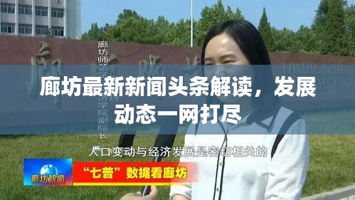 廊坊最新新聞頭條解讀，發展動態一網打盡