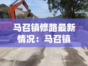 馬召鎮修路最新情況：馬召鎮政府網 