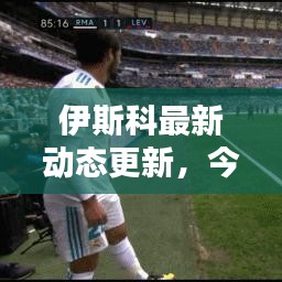 伊斯科最新動(dòng)態(tài)更新，今日消息揭秘！