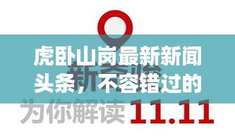 虎臥山崗最新新聞頭條,不容錯過的現場報道!
