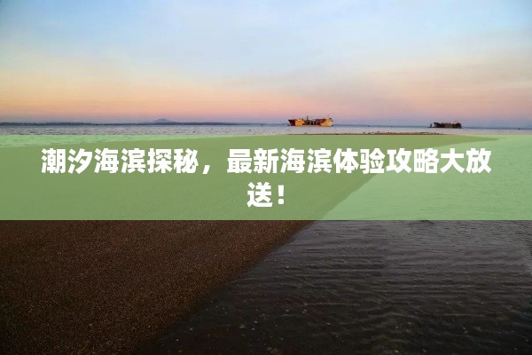 潮汐海濱探秘,最新海濱體驗(yàn)攻略大放送!