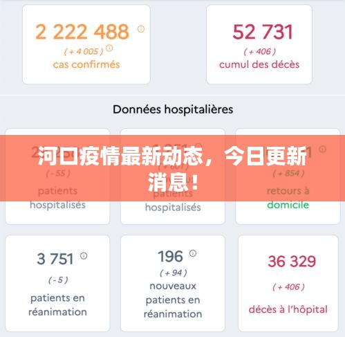 河口疫情最新動態(tài),今日更新消息!