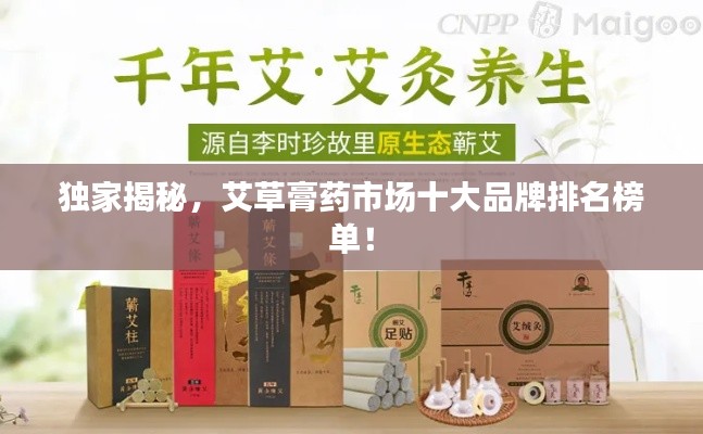 獨家揭秘,艾草膏藥市場十大品牌排名榜單!