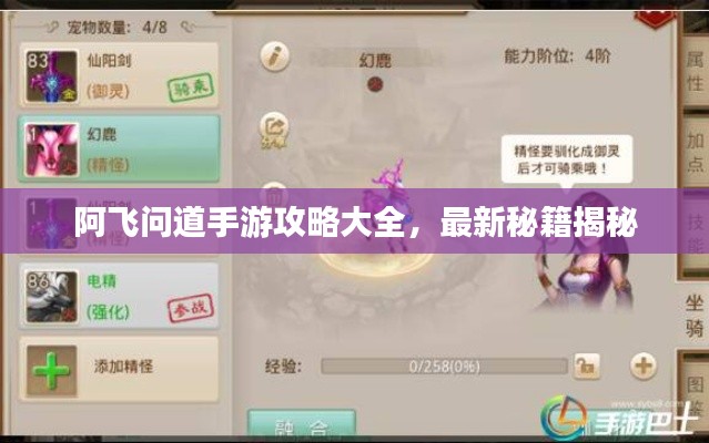 阿飛問道手游攻略大全，最新秘籍揭秘