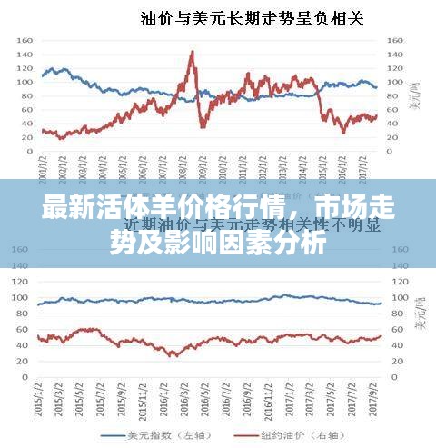 最新活體羊價格行情,市場走勢及影響因素分析
