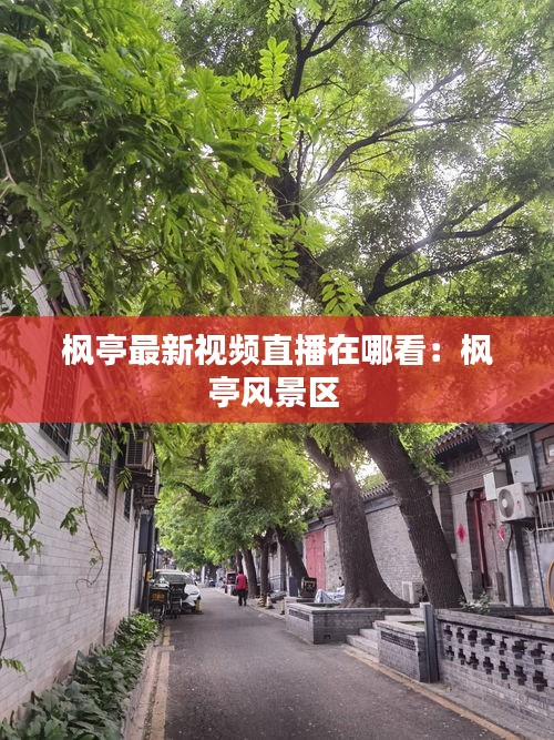 楓亭最新視頻直播在哪看:楓亭風景區