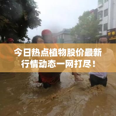今日熱點植物股價最新行情動態一網打盡!