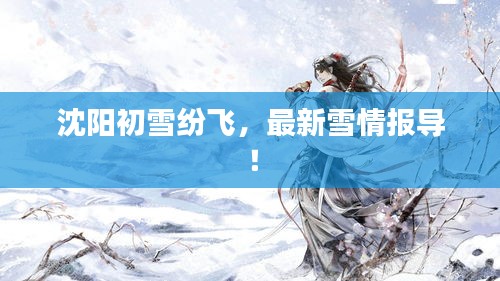 沈陽初雪紛飛,最新雪情報導!