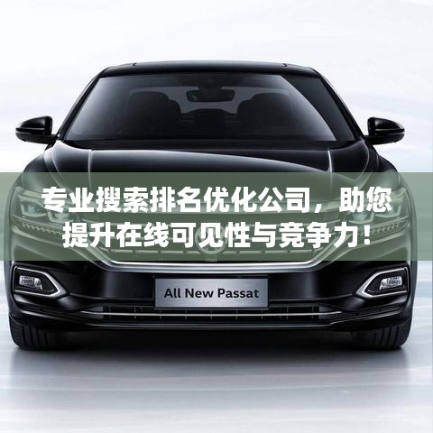 專業搜索排名優化公司，助您提升在線可見性與競爭力！