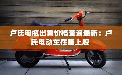 盧氏電瓶出售價格查詢最新:盧氏電動車在哪上牌