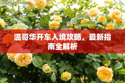 初遇在故事開頭 第3頁