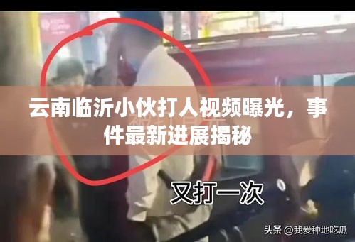 云南臨沂小伙打人視頻曝光,事件最新進展揭秘