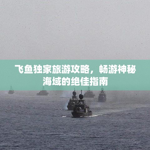 飛魚獨家旅游攻略,暢游神秘海域的絕佳指南