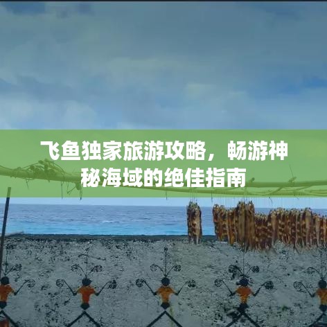 飛魚獨家旅游攻略,暢游神秘海域的絕佳指南