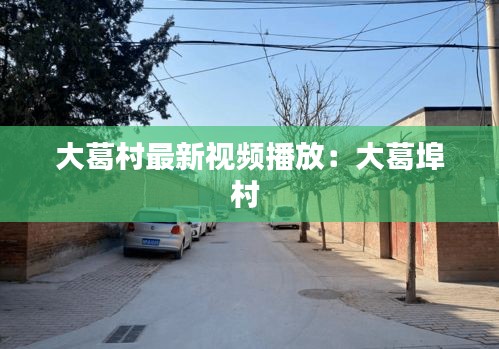 大葛村最新視頻播放:大葛埠村