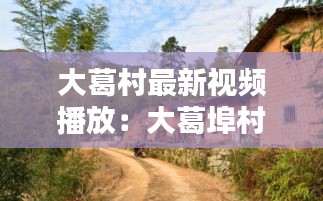 大葛村最新視頻播放:大葛埠村
