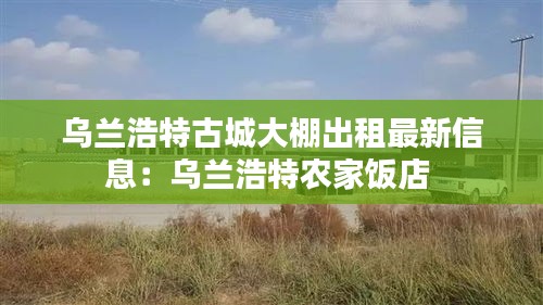 烏蘭浩特古城大棚出租最新信息：烏蘭浩特農家飯店 