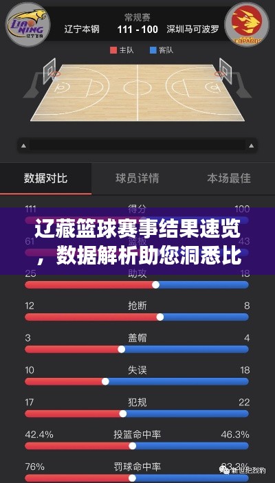 遼藏籃球賽事結果速覽，數據解析助您洞悉比賽動態