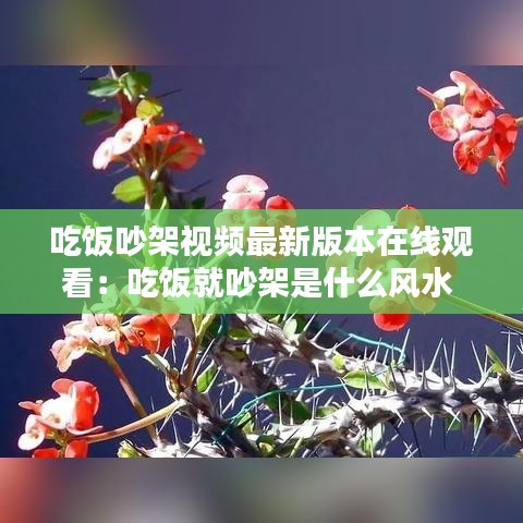 吃飯吵架視頻最新版本在線觀看:吃飯就吵架是什么風水