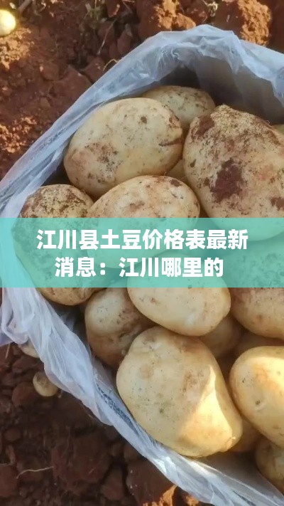 江川縣土豆價格表最新消息：江川哪里的 
