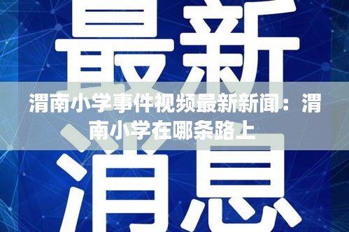 渭南小學事件視頻最新新聞:渭南小學在哪條路上