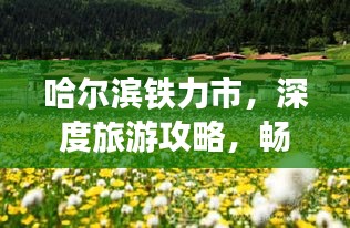 哈爾濱鐵力市,深度旅游攻略,暢游美景不容錯(cuò)過!