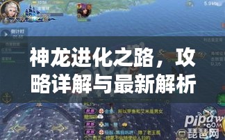 神龍進化之路，攻略詳解與最新解析