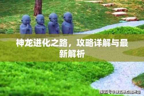 神龍進化之路,攻略詳解與最新解析