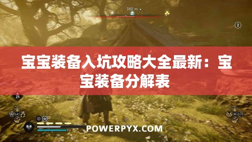 寶寶裝備入坑攻略大全最新:寶寶裝備分解表