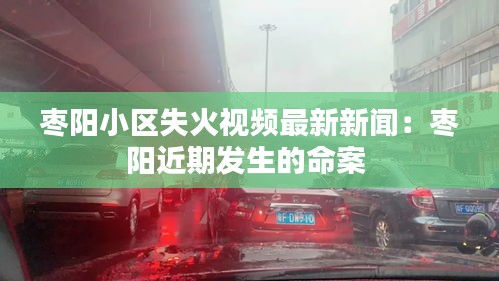 棗陽小區(qū)失火視頻最新新聞：棗陽近期發(fā)生的命案 