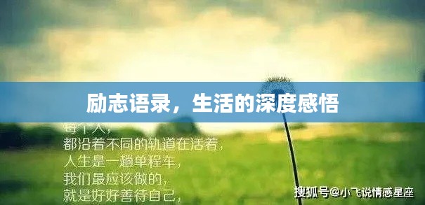 勵志語錄,生活的深度感悟