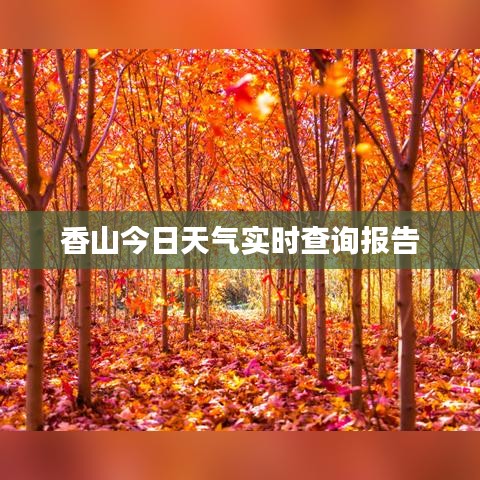 香山今日天氣實時查詢報告