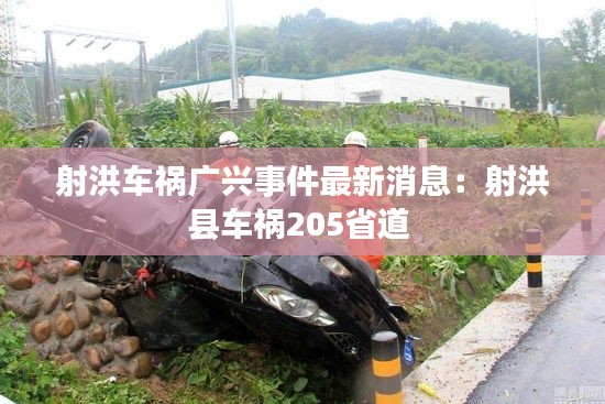 射洪車禍廣興事件最新消息:射洪縣車禍205省道