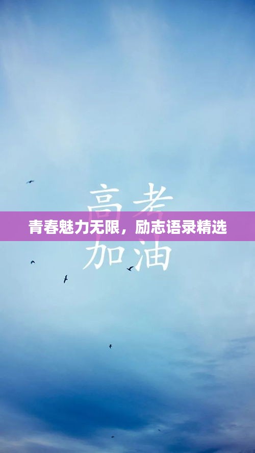 青春魅力無限，勵志語錄精選