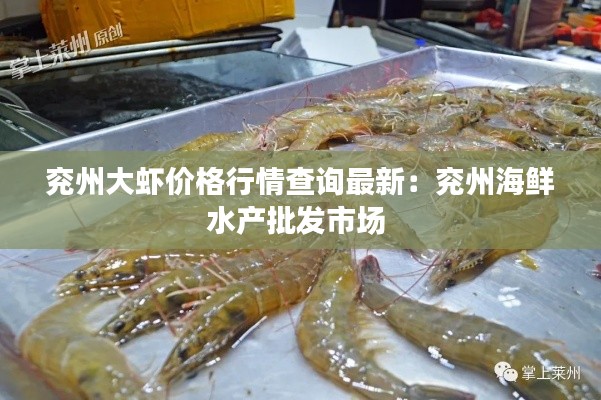 兗州大蝦價格行情查詢最新:兗州海鮮水產批發市場
