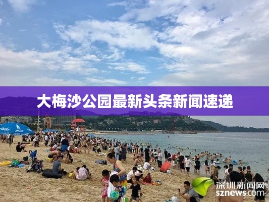 大梅沙公園最新頭條新聞速遞