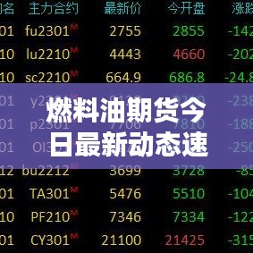 燃料油期貨今日最新動(dòng)態(tài)速遞