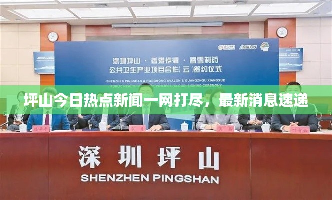 坪山今日熱點新聞一網打盡,最新消息速遞